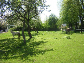 Langballig